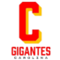 卡罗莱纳州巨人logo
