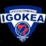 伊戈卡logo
